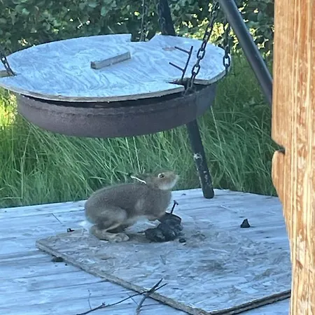 בית נופש Solsetra - Mountain Majesty Family Log הובדן