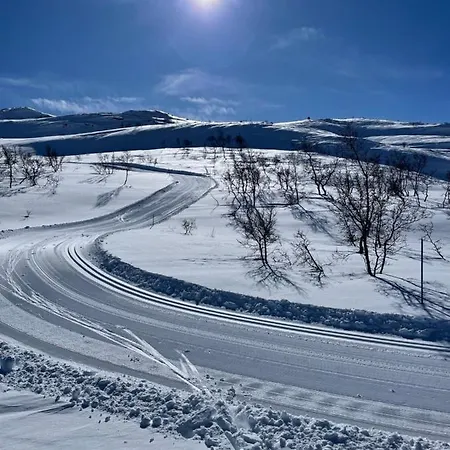 Tatil Evi Solsetra - Mountain Majesty Family Log *