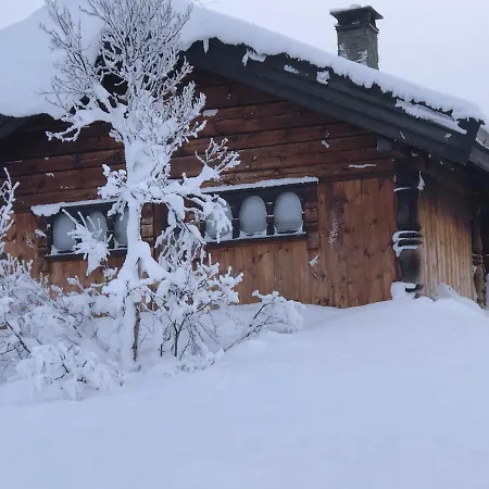 Solsetra - Mountain Majesty Family Log