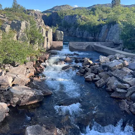 Solsetra - Mountain Majesty Family Log *