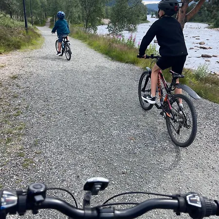 Solsetra - Mountain Majesty Family Log Hovden (Aust-Agder)